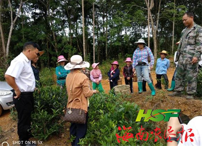 20180428104058621543_thumb.jpg 20180428104058621543_thumb.jpg